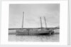 'Mary and Emily' (Br, 1922), at quayside, Newlyn by unknown