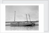 'Mary and Emily' (Br, 1922), at quayside, Newlyn by unknown