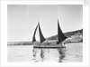 Mounts Bay pilot gig, under sail in Newlyn harbour, setting fore staysail and standing lugs with booms on fore and mizzen masts by unknown