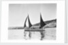 Mounts Bay pilot gig, under sail in Newlyn harbour, setting fore staysail and standing lugs with booms on fore and mizzen masts by unknown