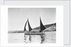 Mounts Bay pilot gig, under sail in Newlyn harbour, setting fore staysail and standing lugs with booms on fore and mizzen masts by unknown