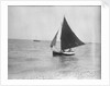 LI 70 under sail by Unknown