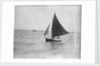 LI 70 under sail by Unknown