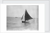 LI 70 under sail by Unknown