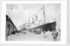 Cruise ships at Copenhagen, Denmark by Marine Photo Service