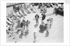 Dog Racing aboard the 'Viceroy of India' by Marine Photo Service