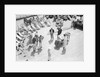 Dog Racing aboard the 'Viceroy of India' by Marine Photo Service