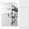 Passengers on a jetty in Barbados, Lesser Antilles by Marine Photo Service