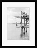 Passengers on a jetty in Barbados, Lesser Antilles by Marine Photo Service
