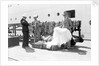 Stole and cape sellers, Cape Town, South Africa by Marine Photo Service