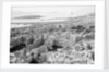 The ruins of the Temple of Apollo at Delos, Greece by Marine Photo Service