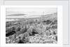 The ruins of the Temple of Apollo at Delos, Greece by Marine Photo Service