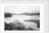 Panama Canal, Panama, 1935 by Marine Photo Service