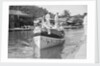 Tender arriving at St Lucia, Windward Isles, West Indies by Marine Photo Service