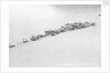 A herd of reindeer at Svartisen, Norway by Marine Photo Service