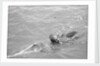 Pearl diver coming up for air by Alan Villiers