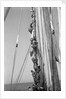 Kuwaiti sailors climbing aloft and working on the lateen yard by Alan Villiers