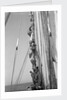 Kuwaiti sailors climbing aloft and working on the lateen yard by Alan Villiers