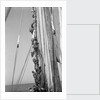 Kuwaiti sailors climbing aloft and working on the lateen yard by Alan Villiers
