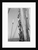 Kuwaiti sailors climbing aloft and working on the lateen yard by Alan Villiers