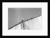 Kuwaiti sailors working the sail by Alan Villiers