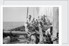The 'Triumph of Righteousness' full of mangrove poles by Alan Villiers