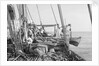 'Triumph of Righteousness' bound for Bahrain with her cargo of mangrove poles by Alan Villiers