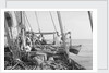 'Triumph of Righteousness' bound for Bahrain with her cargo of mangrove poles by Alan Villiers