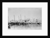 The Kuwait waterfront by the Sif Palace by Alan Villiers