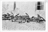 Anchors awaiting a buyer by Alan Villiers