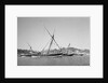 Indian dhows lying at anchor at Mutrah by Alan Villiers