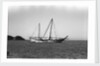 The 'Triumph of Righteousness' at anchor by Alan Villiers