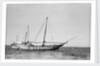 The 'Triumph of Righteousness' at anchor in Manama roads, Bahrain by Alan Villiers