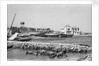 Manama waterfront by Alan Villiers