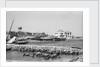 Manama waterfront by Alan Villiers