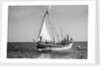 The 'Sheikh Mansur' under sail by Alan Villiers