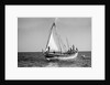 The 'Sheikh Mansur' under sail by Alan Villiers