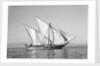 A boom under full sail by Alan Villiers