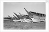 Boom prows crown the Kuwait waterfront by Alan Villiers