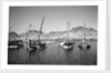 Zarooks and sambuks ride at anchor, Ma'alla, Aden by Alan Villiers