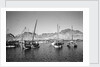 Zarooks and sambuks ride at anchor, Ma'alla, Aden by Alan Villiers