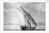 The 'Triumph of Righteousness' sailing high out of the water by Alan Villiers