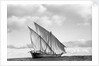A lightly laden boom sailing towards Rufiji by Alan Villiers