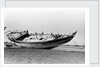 Decorated stern and deck hull of a large sambuk, beached at Aden by Alan Villiers