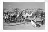 Prospective boom passengers headed for Mukalla by Alan Villiers