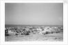 General view of Jizan by Alan Villiers