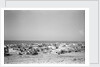 General view of Jizan by Alan Villiers