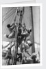 Sailors climbing the halyard blocks by Alan Villiers