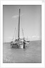 Typical Lamu dhow at anchor by Alan Villiers