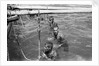 Pearl divers in the water by Alan Villiers